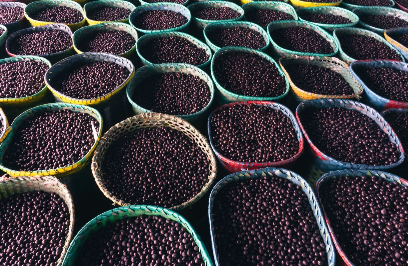 Baskets of freshly harvested açaí berries at a market in Brazil