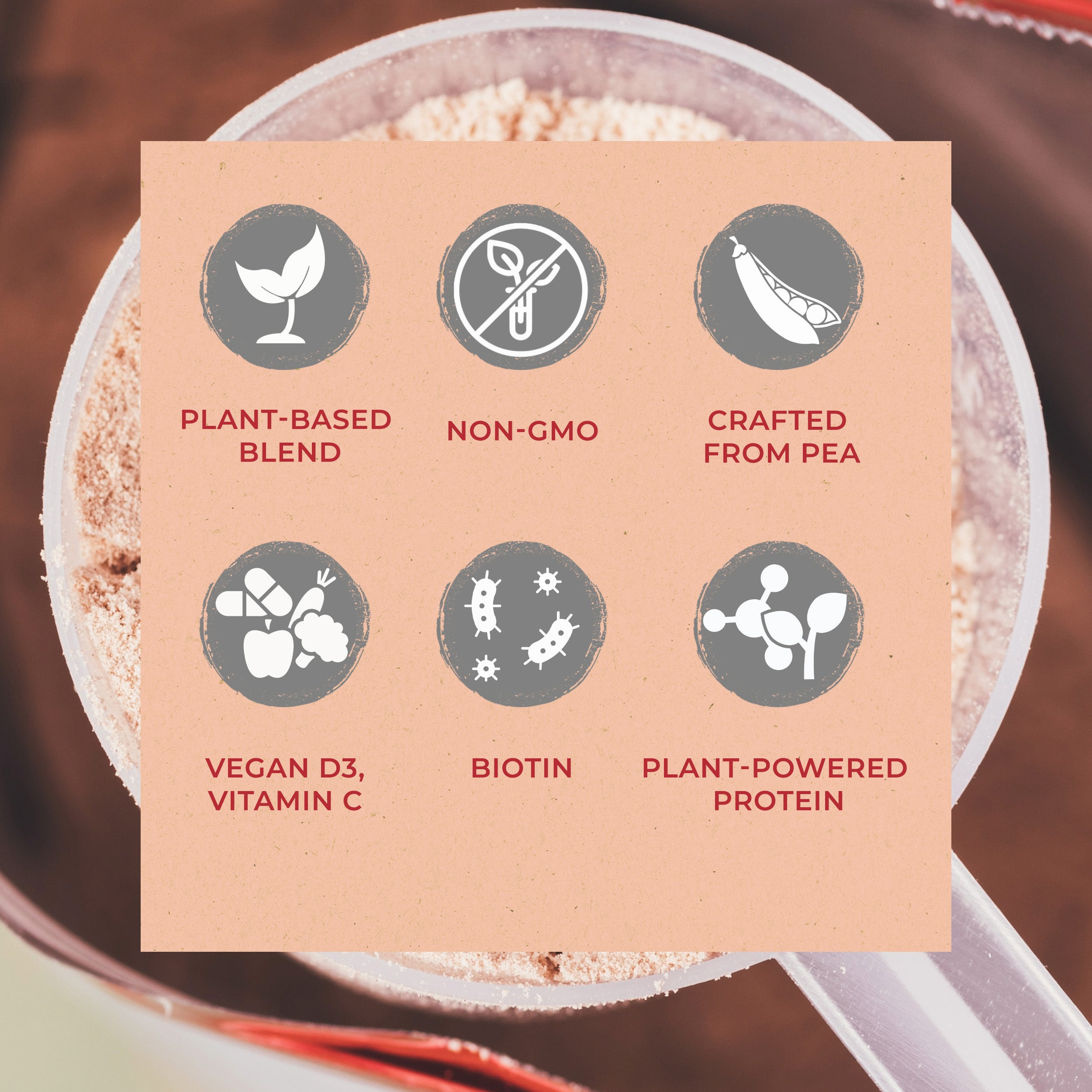 Vegan Protein Powder- Fruit