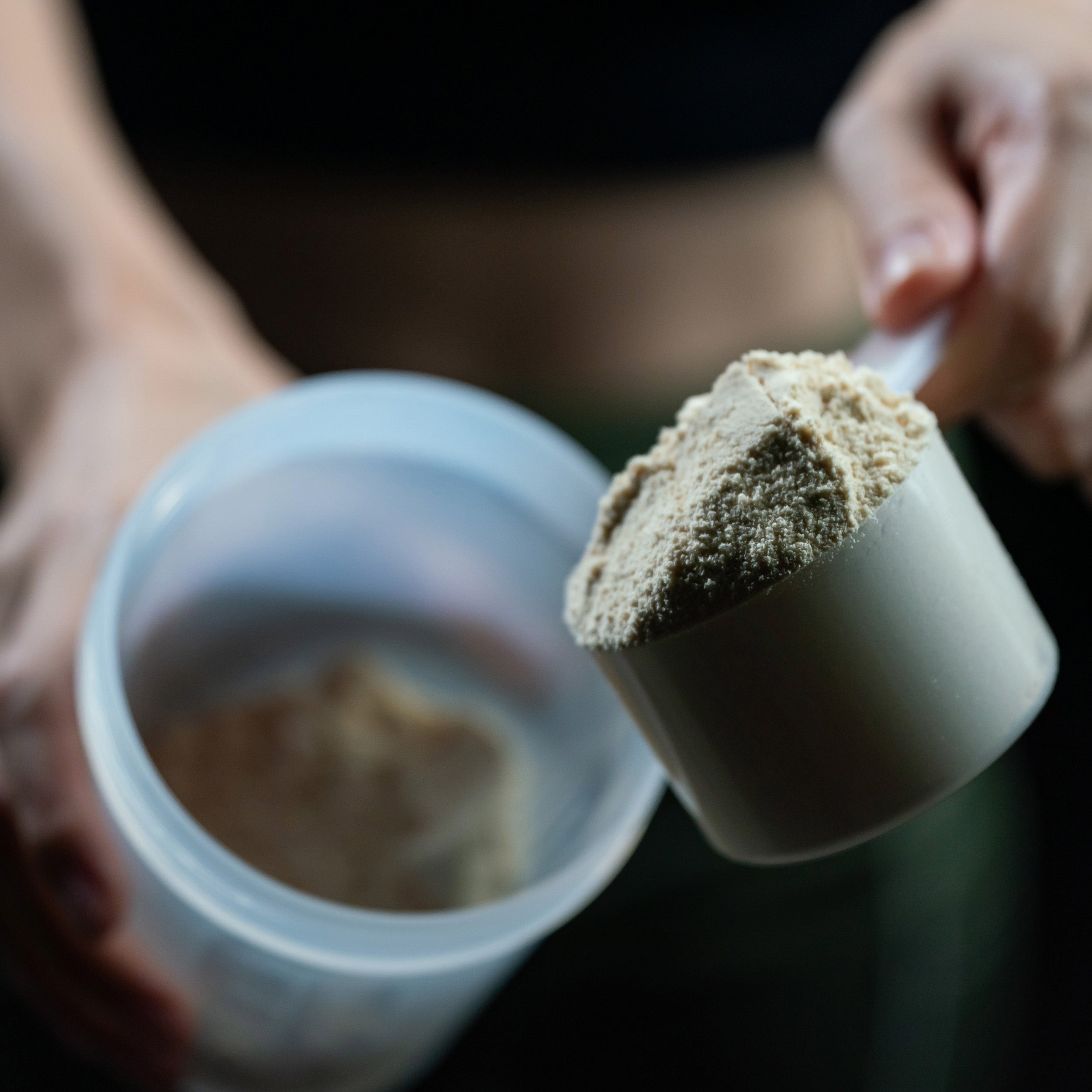 Vegan Protein Powder- Fruit