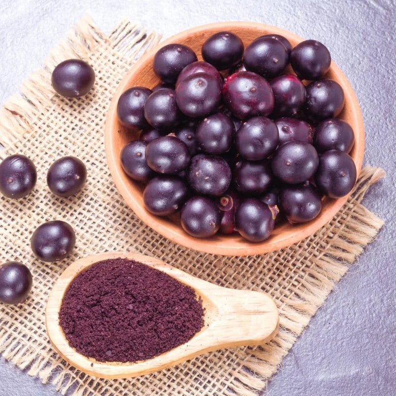 Premium Brazilian açaí berry used in MonaVie Active to provide high-density antioxidant support and help protect cells from environmental stressors