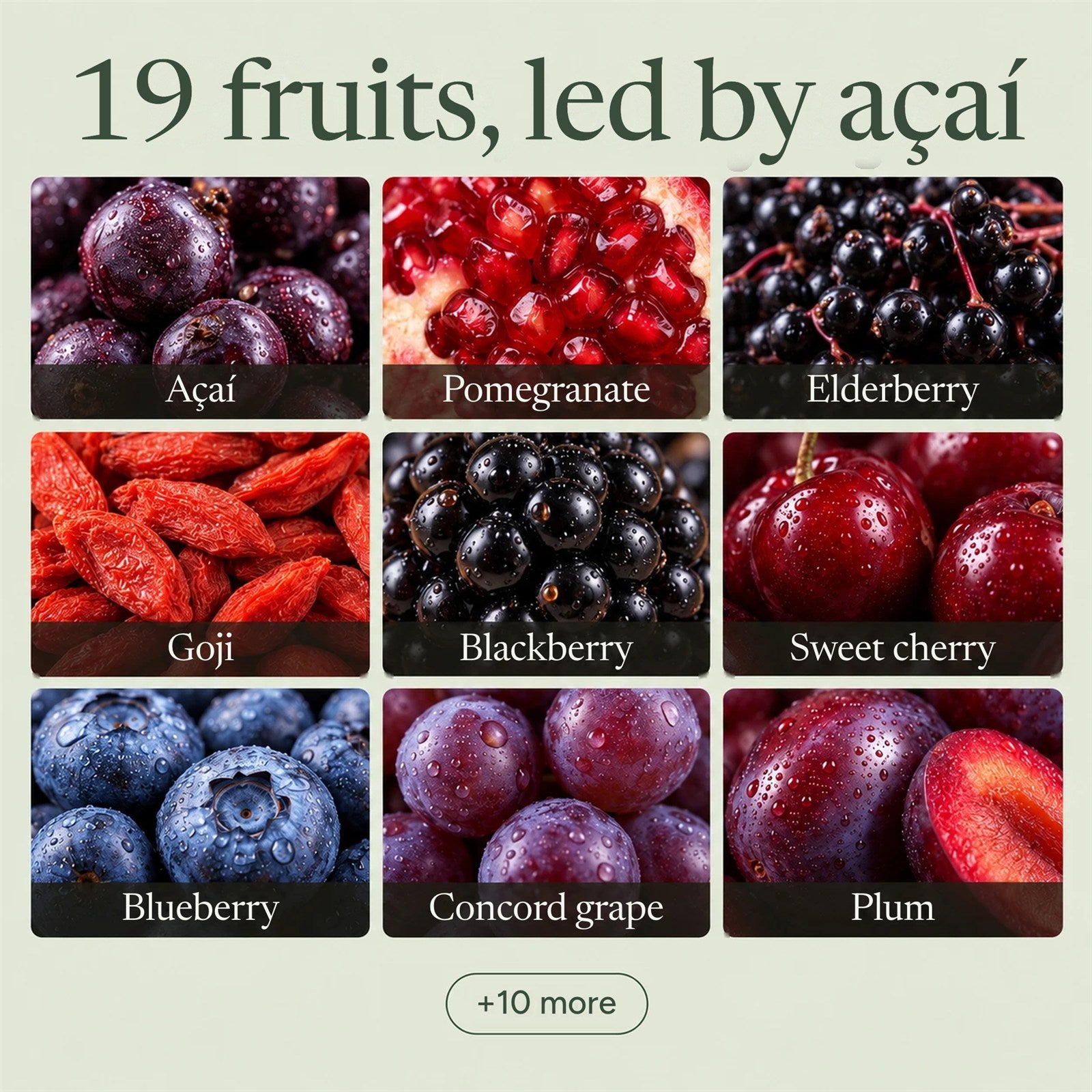 19 fruits, led by açaí